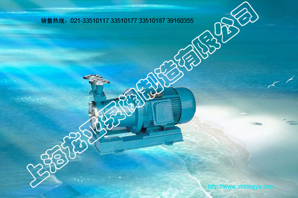 CWB旋渦泵,不銹鋼旋渦泵,磁力旋渦泵