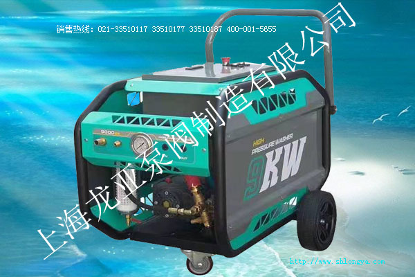 LGPXD高壓噴霧消毒機(jī)-集裝箱高壓加藥消毒設(shè)備 高壓噴霧消毒機(jī),集裝箱消毒機(jī),高壓加藥消毒設(shè)備,高壓消毒設(shè)備