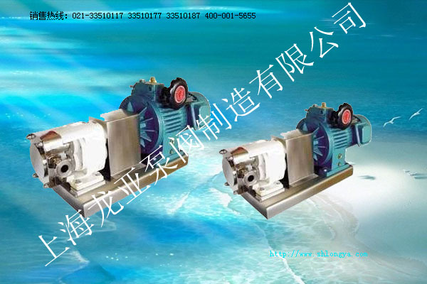 LQ3A轉子泵,不銹鋼轉子泵,羅茨泵,凸輪轉子泵