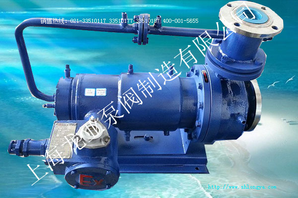 R系列高熔點(diǎn)液用外部循環(huán)型屏蔽泵 循環(huán)型屏蔽泵,高熔點(diǎn)屏蔽泵,R系列屏蔽泵,屏蔽泵