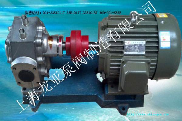 RCB不銹鋼保溫齒輪泵 不銹鋼保溫齒輪泵,RCB齒輪泵,保溫齒輪泵