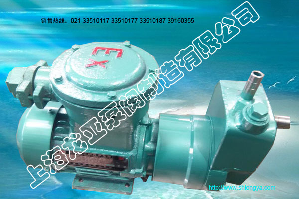 ZCQ20-12-110磁力泵,套管自吸磁力泵